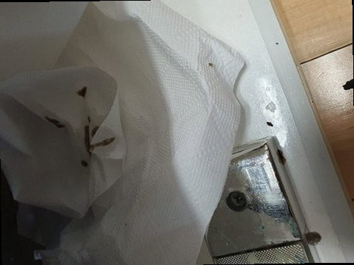 권선구 하수구막힘 서둔동 하수구막힘 싱크대 음식물 찌꺼기 피해를 줄이는 5가지 기준