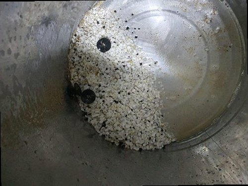 권선구 곡반정동 하수구막힘 배수구 주변 상태와 물 흐름을 확인하는 현장 점검 모습